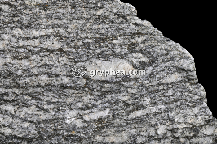 Gneiss (Emosson, Suisse) - détail - gryphea.com